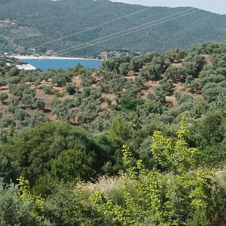 Art Hotel Panorama Pyrgadikia Exterior photo