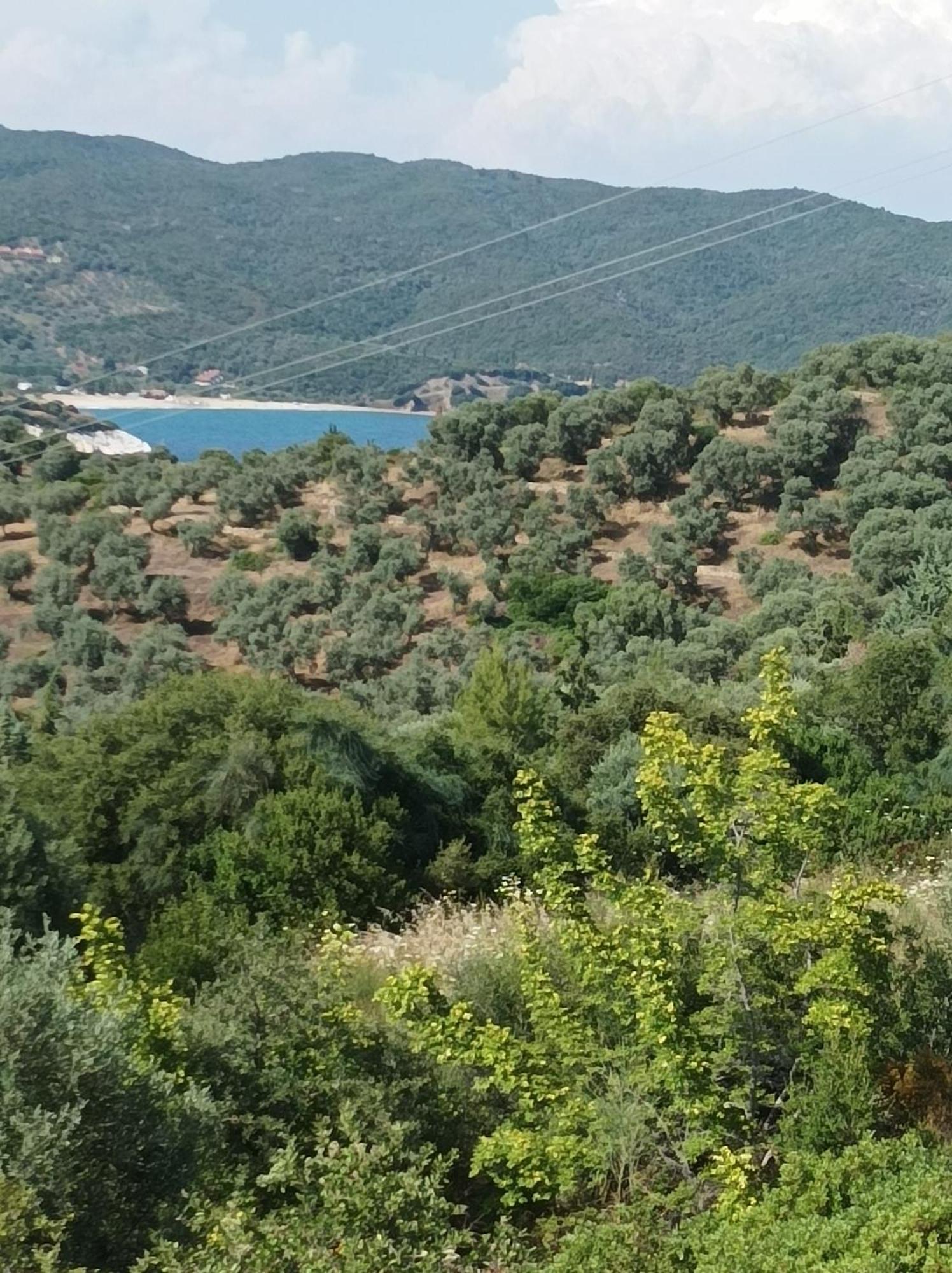 Art Hotel Panorama Pyrgadikia Exterior photo
